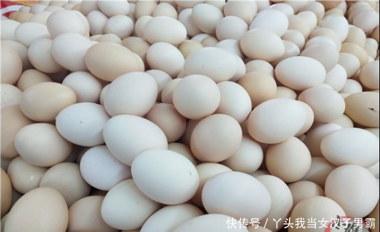红壳|才知道,红壳鸡蛋和白壳鸡蛋,区别这么大,很多人不懂,别买错了