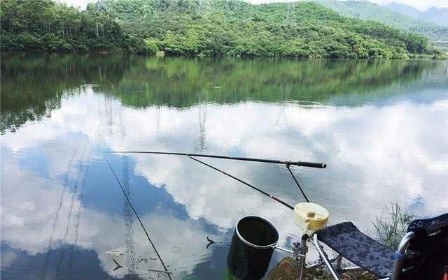 鱼钩|浮漂有动作，提竿却不中鱼，这种情况该如何应对