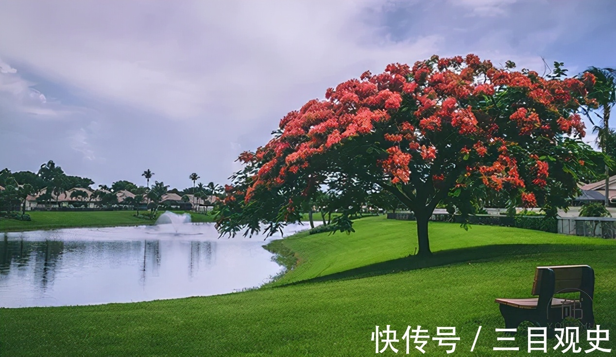 辛酸故事&吴承恩的倔,曹雪芹的痴,四大名著外的辛酸故事
