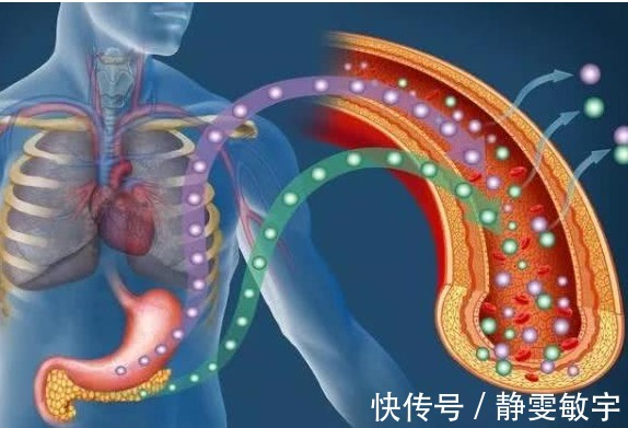 治愈|糖尿病为何不能治愈,终于知道答案,看完涨知识了