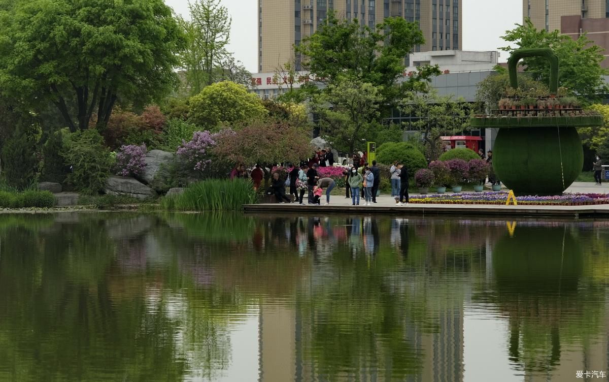 植物园姹紫嫣红是老人聚会的好地方【严建设】