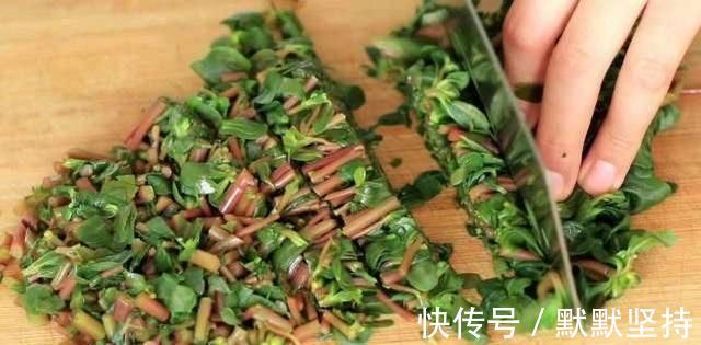 野菜|马齿苋被称为“抗生素”,可应该用根还是叶子营养师别吃错