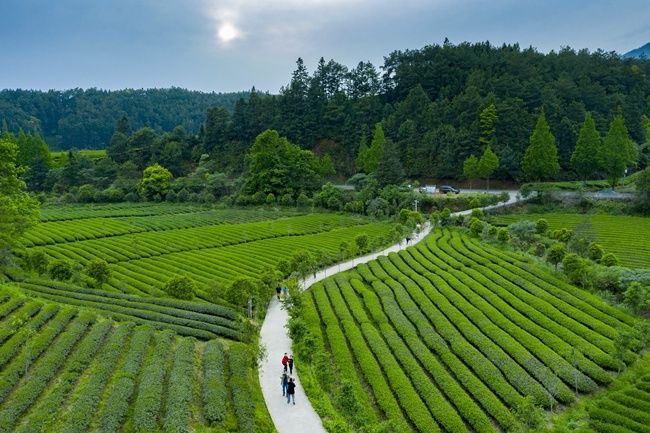 实施|打造环武夷山国家公园保护发展带 建设人与自然和谐共生的现代化先行示范区