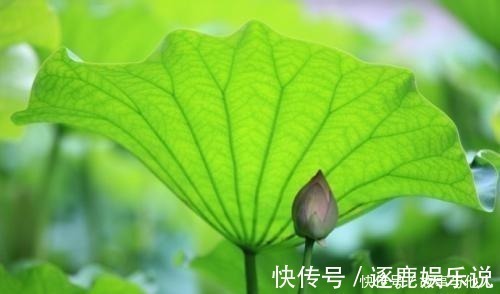 吃苦&做人贵在明理,弄明了这样三个道理,就是明白人