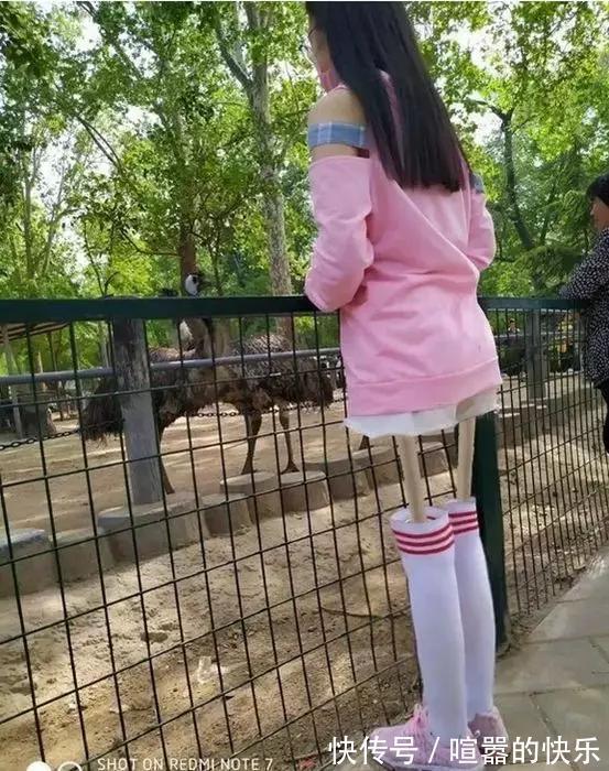 |PS搞笑恶搞:大神能把腿p的细一点吗,越细越好