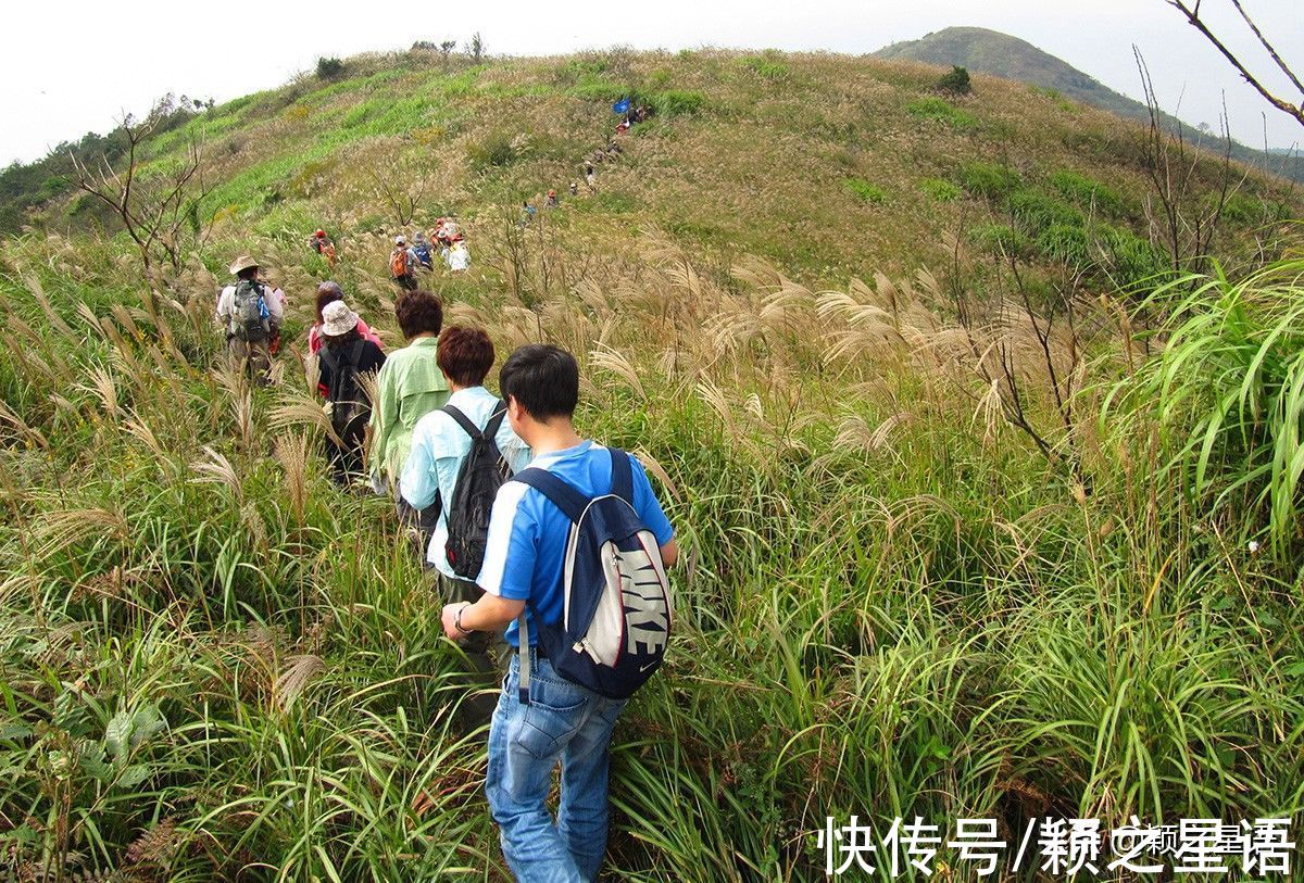 东盘山|福泉山漫山芦花消失，幸好还有东盘山，宁波唯一的高山草甸风光