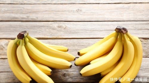 便秘的“克星”发现了,不是香蕉而是它,若爱吃,让你一次拉个爽
