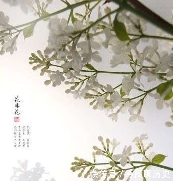 朝云|琴诗酒伴皆抛我，雪月花时最忆君