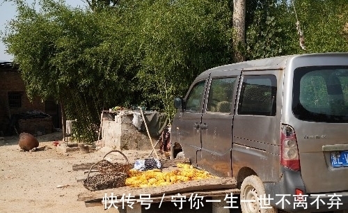 酸枣树|秋游黄河，发现1个黄河人家，2件衣服让人联想，住的啥人