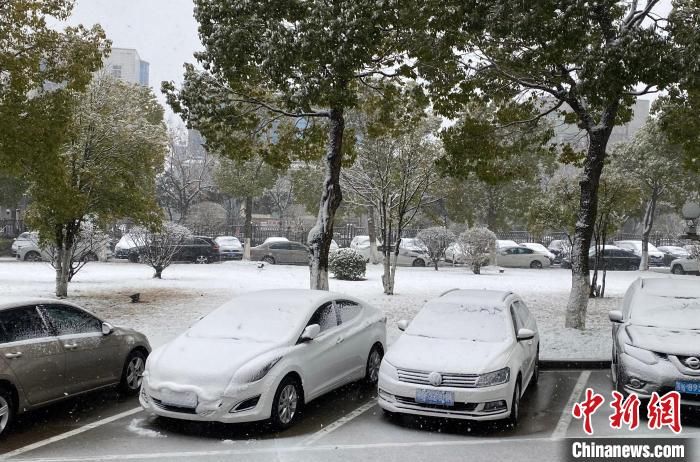 首场|虎年首场大雪如期而至 古城扬州银装素裹