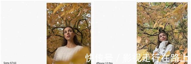 索尼|iPhone12Pro和索尼单反拍照对比差距比想象的大多了！