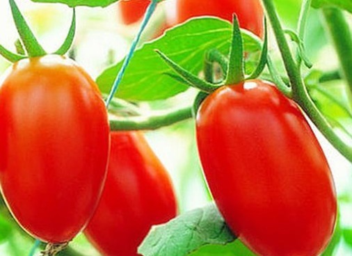 皱纹|女性不想皱纹爬满脸,每天当零食吃,大肚腩不见了,皮肤更水嫩!