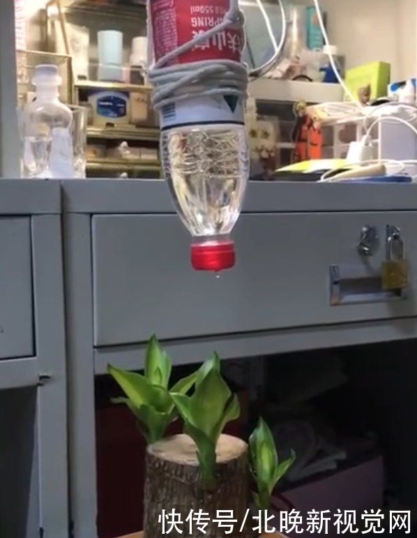 大学生放假前自制装备给盆栽浇水，评论区炸了，网友纷纷出招