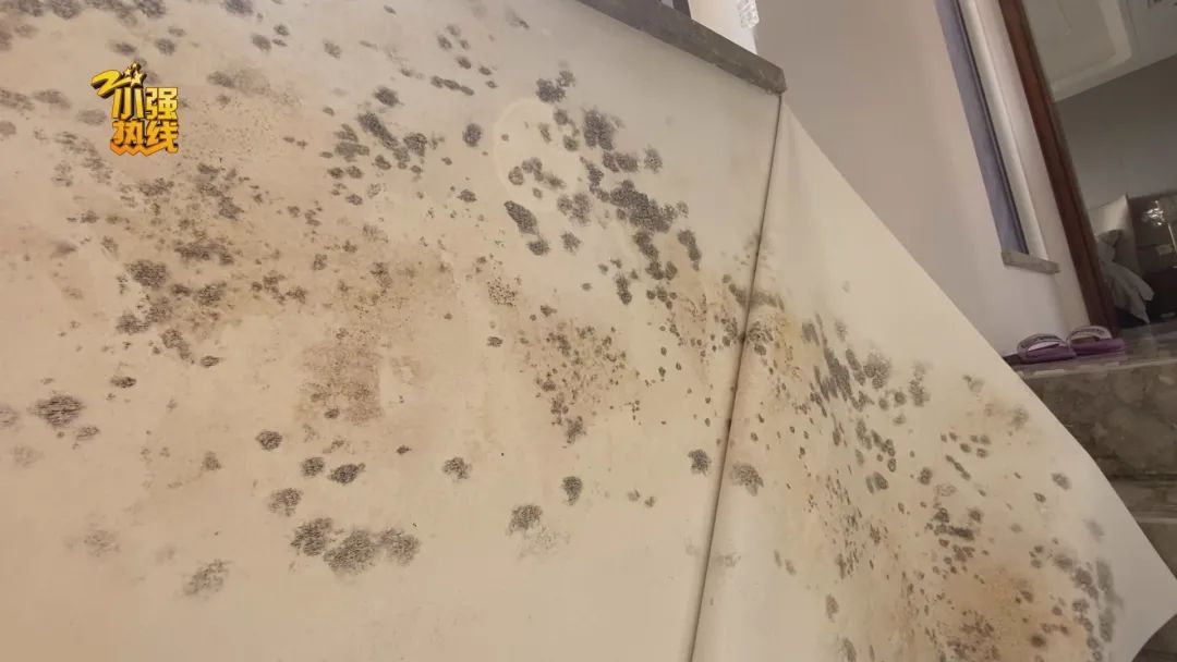 仁恒置地|花近800万买的跃层，没想到不堪入目