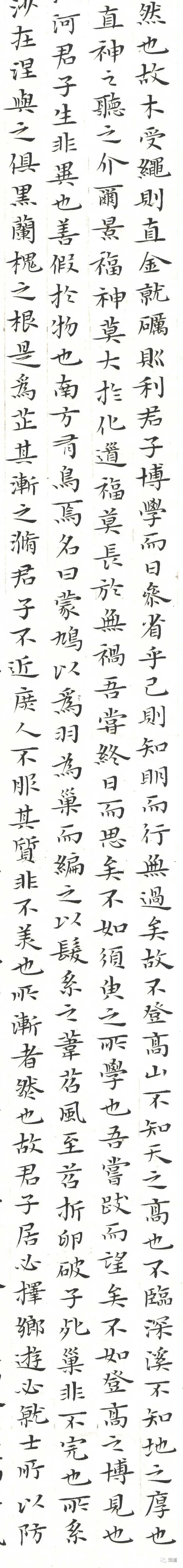  劝学篇|知道书画｜杨文彪 庚子年新作《劝学篇》