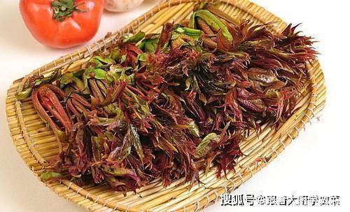 研究|研究血管60年,92岁院士提醒:高血脂除了盐和肉,这3素也要少吃