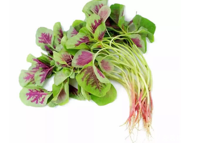 中老年人|到了50岁,尽量少吃四种果蔬,无论男女,不妨都了解下