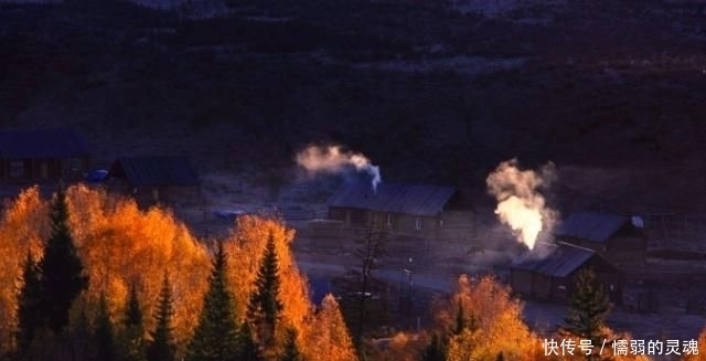 清冷幽静|王维很冷门的一首诗,只有24个字,却美得令人心醉