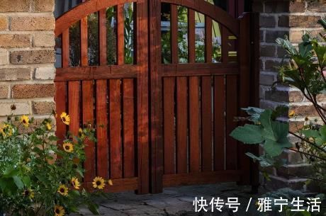 大花园|退休夫妻花4年改造自家老房,建3000㎡大花园,住在人间仙境里