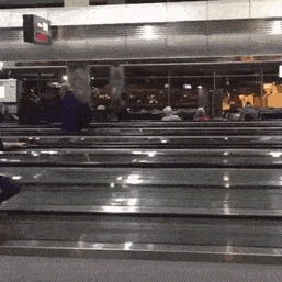 |搞笑GIF趣图:怀恋学生时期陪你一起犯二的朋友们