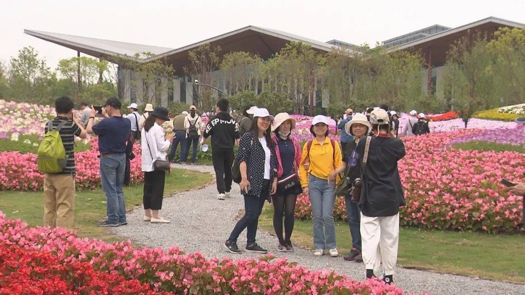 浪漫之旅|花博会开幕在即，来看“网红”打卡点，简直太美了！