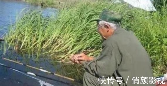 鲤鱼|就这鲤鱼饵还值200块?老钓手被惹怒:1000块都不卖你