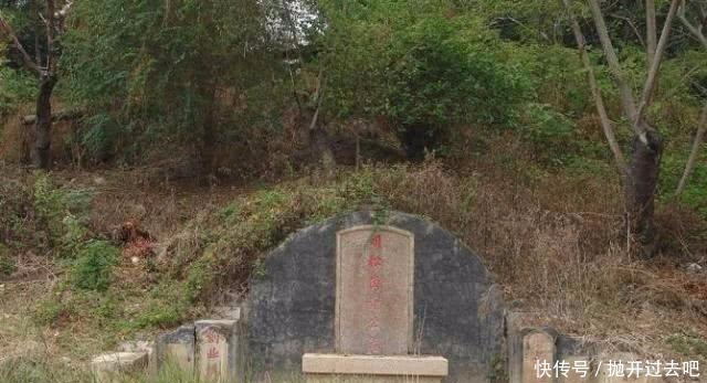 盗墓贼|墓门前载有此树,盗墓贼转头就走,不会挖一块土!