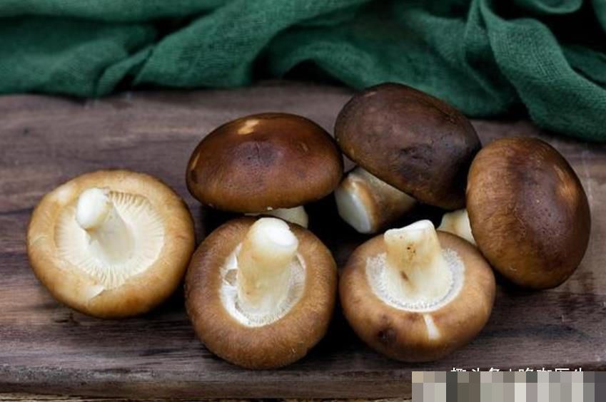 有种食物的营养比肉还高降压、调理肠胃,关键还抗癌