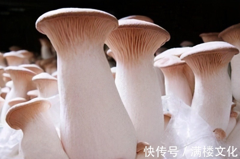 果蔬菜|很有营养的3种食物，润肠通便，排毒清肠，早吃早健康！