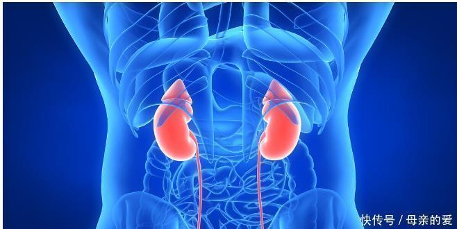 饮料|得了糖尿病还任性,6个伤肾的坏习惯赶快改,当心肾病缠上你