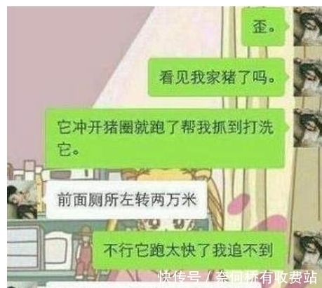 睡觉时|轻松一刻：昨晚睡觉时，媳妇和岳母微信视频了，然后这货竟然……