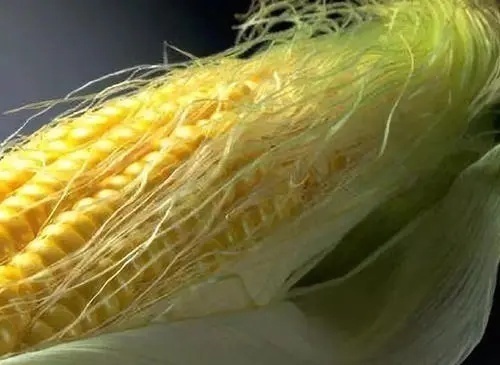 营养物质|失眠最怕喝这汤,每天喝一碗,润肠刮油排宿便,一觉睡到大天亮