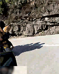 |搞笑GIF:妹子,我就想看看你怎么出来!