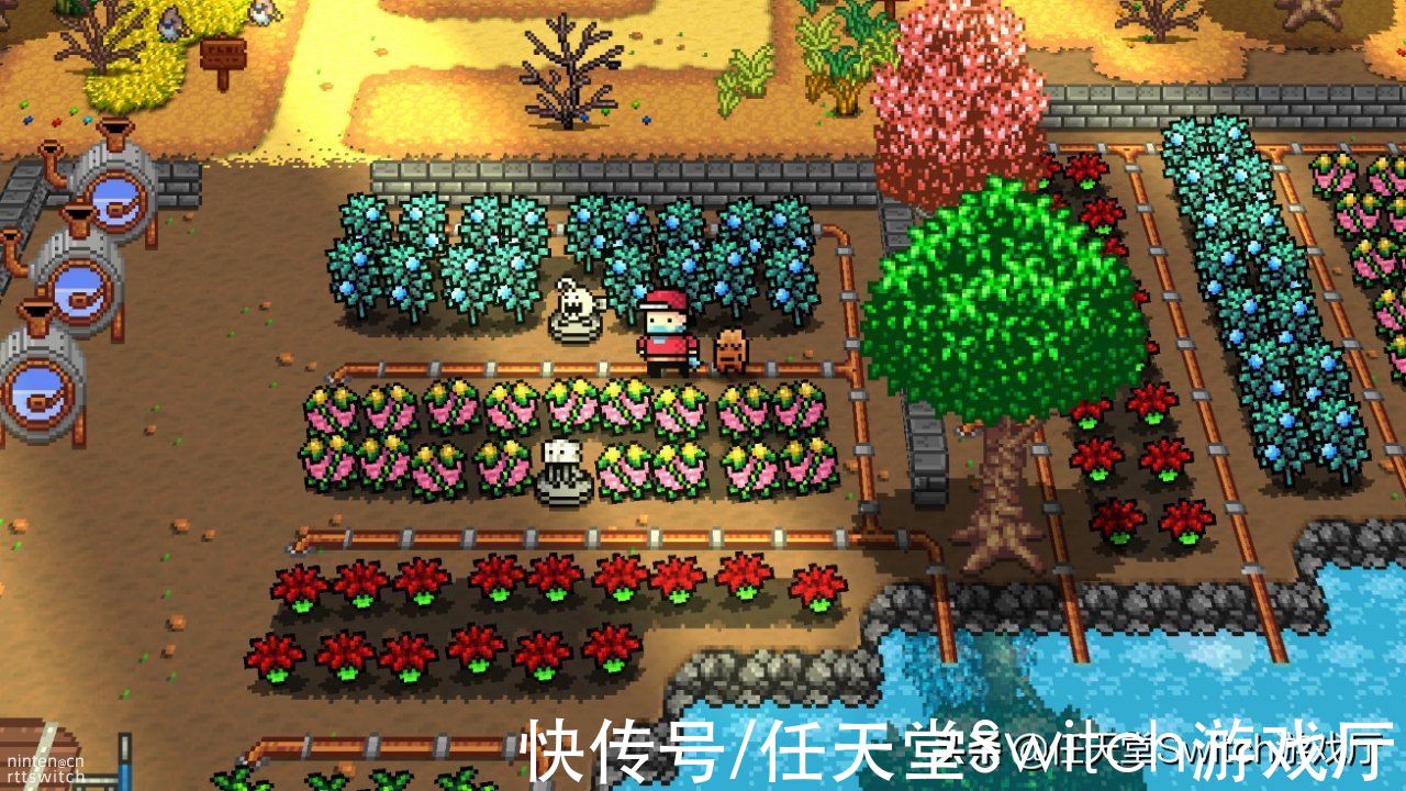 史莱姆|星露谷版宝可梦《植兽物语》9月1日登陆switch