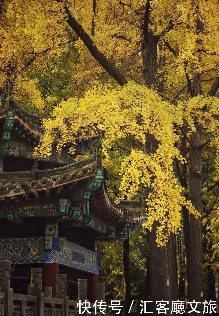 锦里 成都是一种“病”,不去治不好!