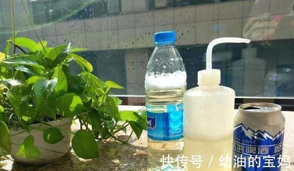 还在用淘米水浇花，兑上3种料，养花效果太棒了，你了解嘛