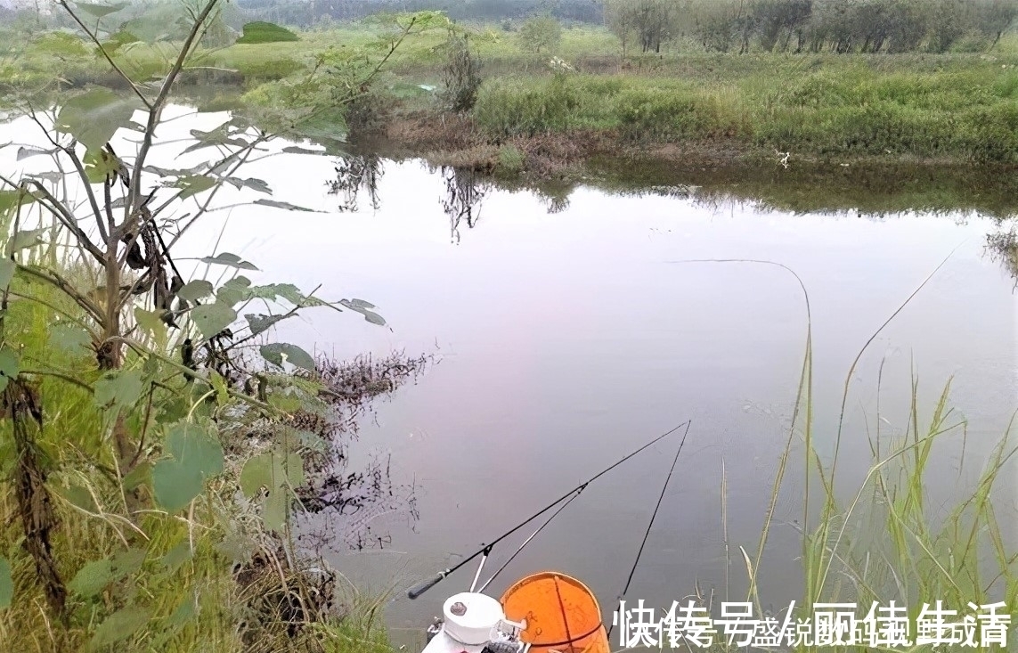 线组|钓到大鱼不切子线,却切主线是何道理?子线缠绕打结怎样解决