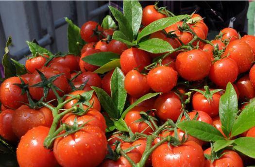 西红柿|爱美女性适合常吃3种食物,美容养颜,抗衰老,清除体内多余脂肪