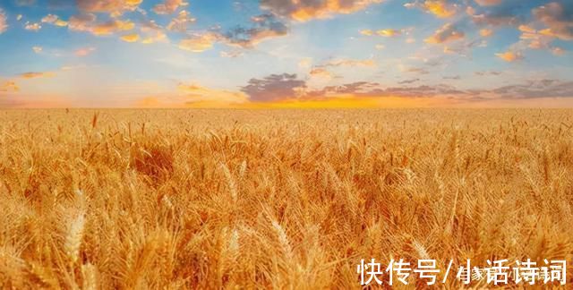 菲比|《麦田里的守望者》:书中的守望者是谁?读者:这个守望者叫善良