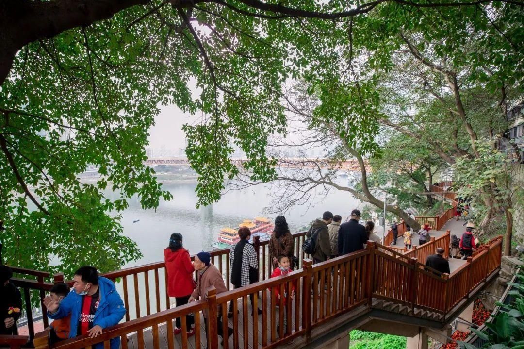 中年|在吗?“原年人”