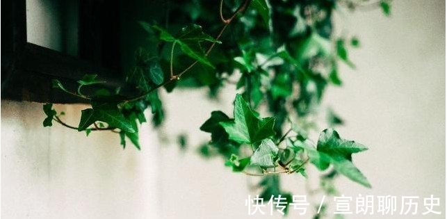 双子座|最喜欢“折腾”的3大星座，“不撞南墙不回头”的标签一直在！