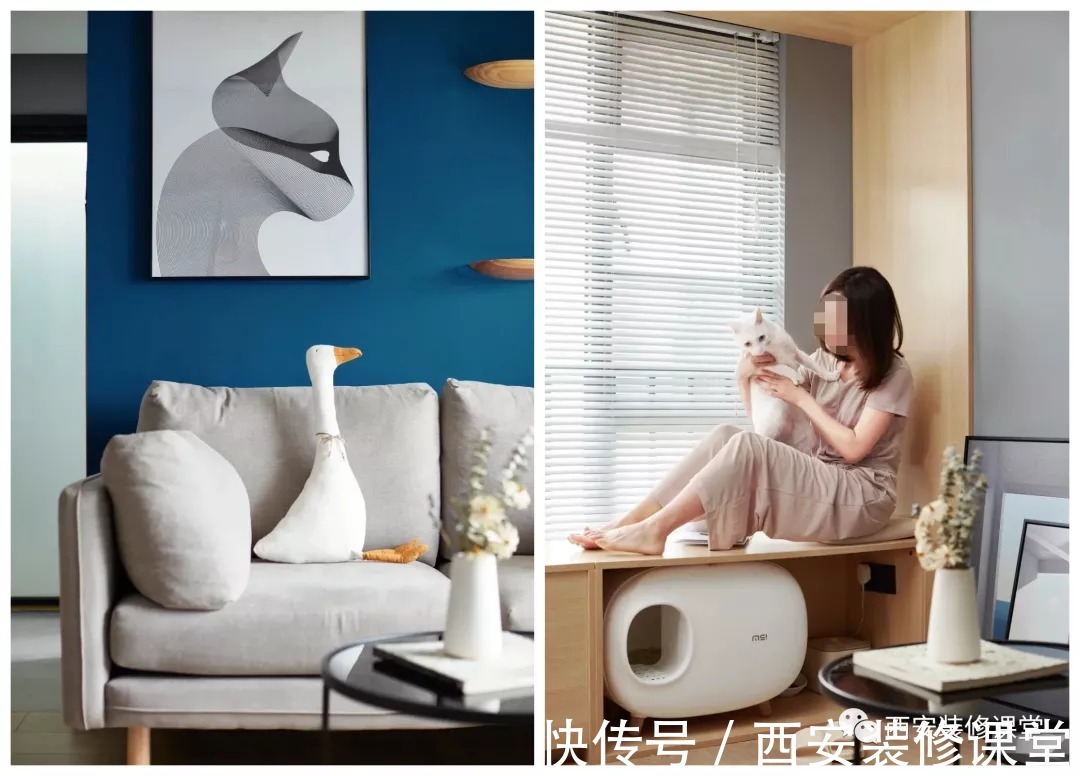 布局|60㎡一室一厅装修,单身颜值家