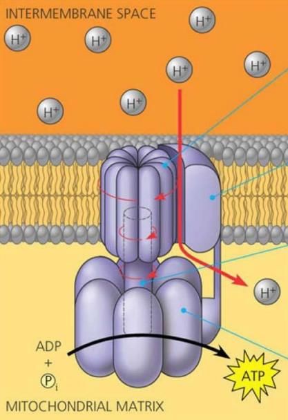 我们或许真是从石头缝里蹦出来的——生命起源
