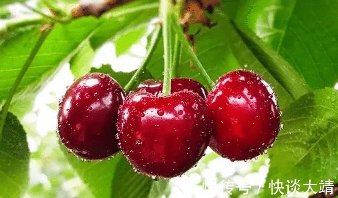 婴幼儿|哪些人不能吃月饼？