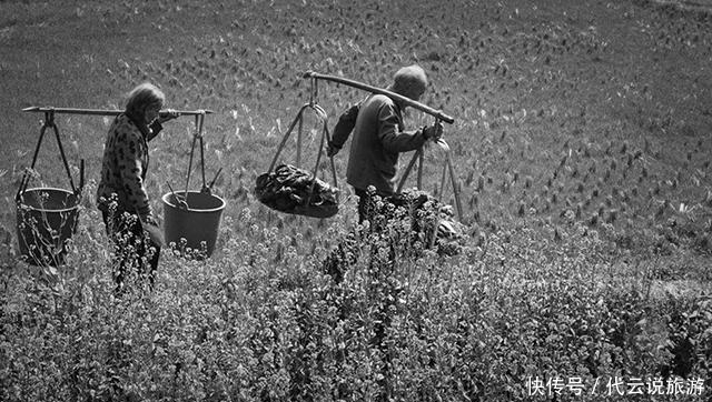 借给|70多年前,一农妇曾借给八路军7000斤小米,最后结局如何?