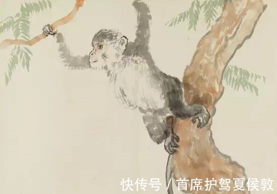 大金猴|大金猴：哪月出生的属猴人旺人旺己，福泽深厚，看看有你吗