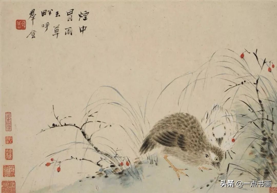 草虫&华岩的花鸟画,独辟蹊径,令人耳目一新