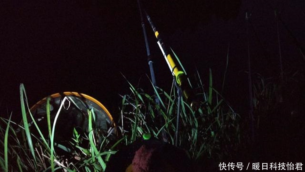 鱼竿|夏季夜钓安全第一,出门之前做好这5件事,准备充分轻松钓大鱼!