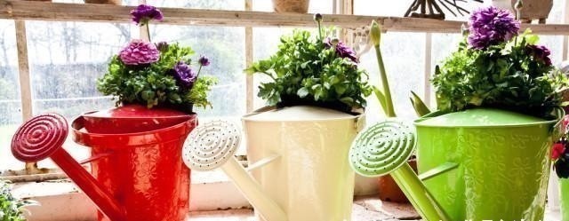 养花浇水容易“阴阳水”,教你3个小技巧,一次就浇透让花喝个够