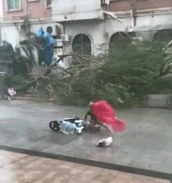 |搞笑趣图:为了给闺蜜拍个照,妹子也是够拼了